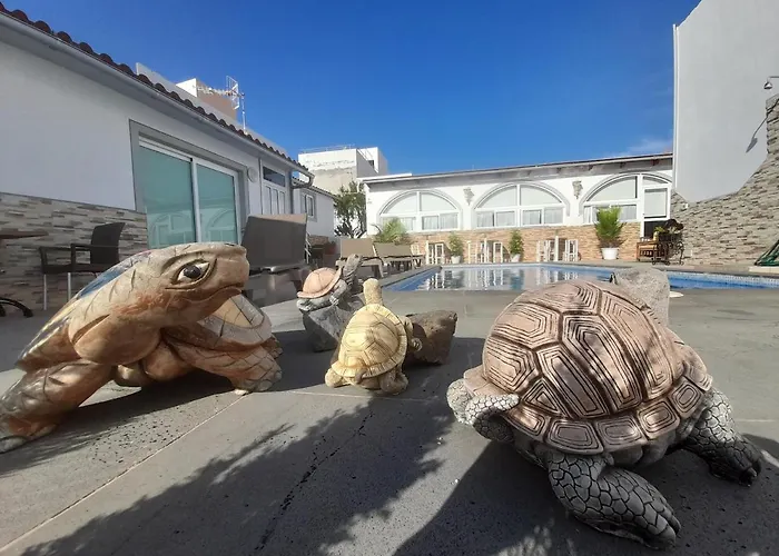 Tenerife Little Village S Apartmán San Isidro (Tenerife)
