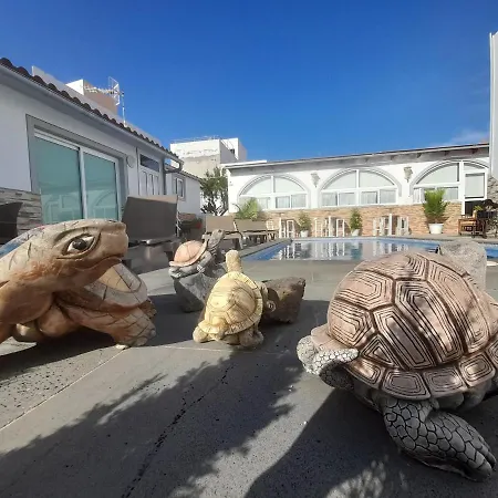 Tenerife Little Village S 公寓 圣伊西德罗